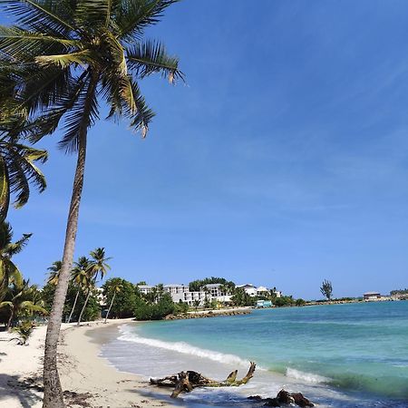 Studio West-Indies Residence Savane Et Archipel Le Gosier (Grande-Terre) Exterior foto