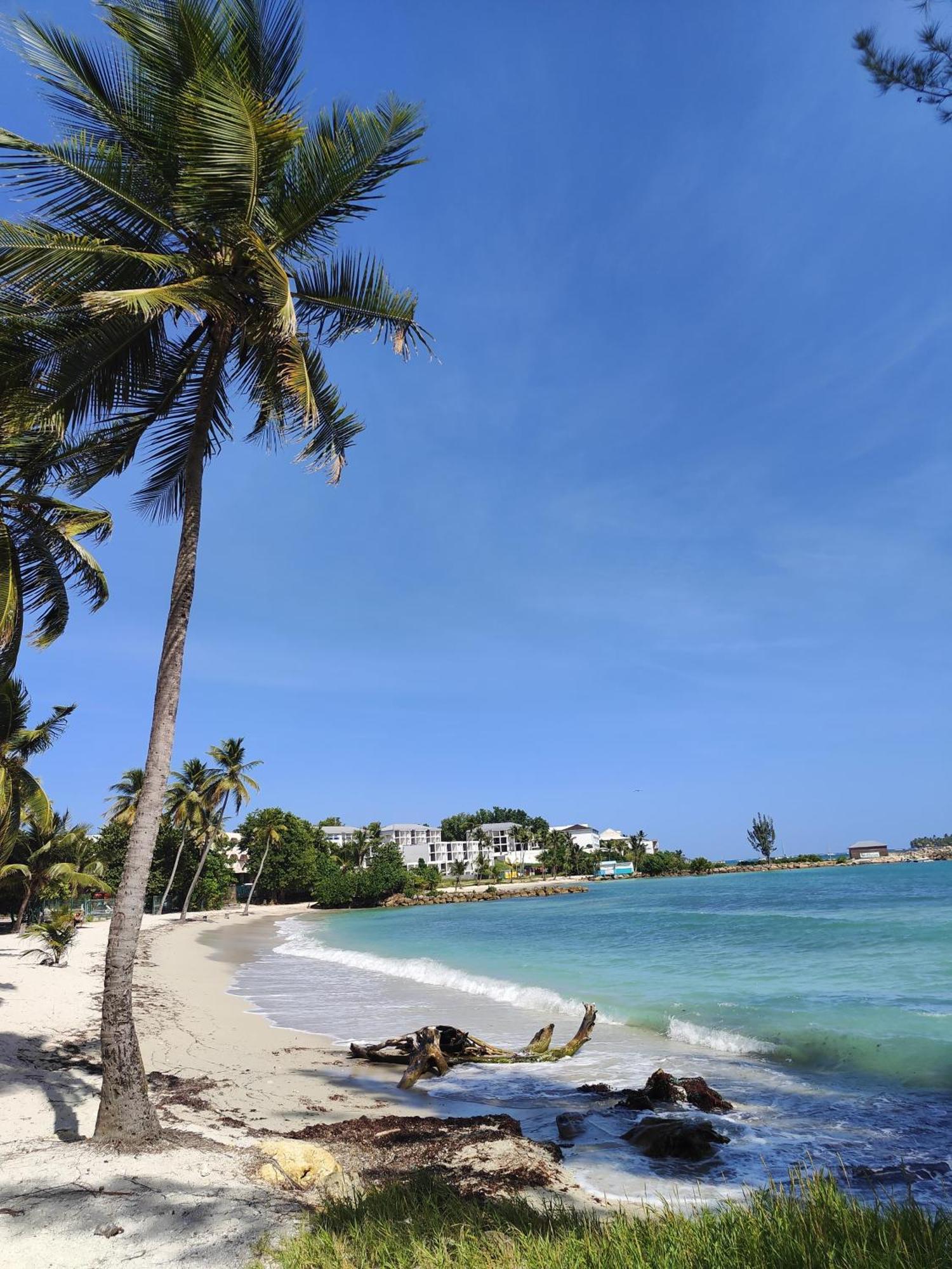 Studio West-Indies Residence Savane Et Archipel Le Gosier (Grande-Terre) Exterior foto